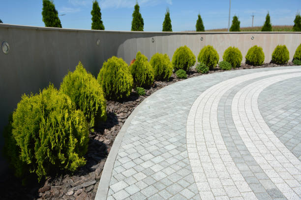 Reasons to Select Us for Your Driveway Paving Requirements in Blair, WI